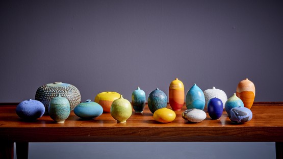 Brenda Williams Set of 17 Ceramic hand-crafted Vases